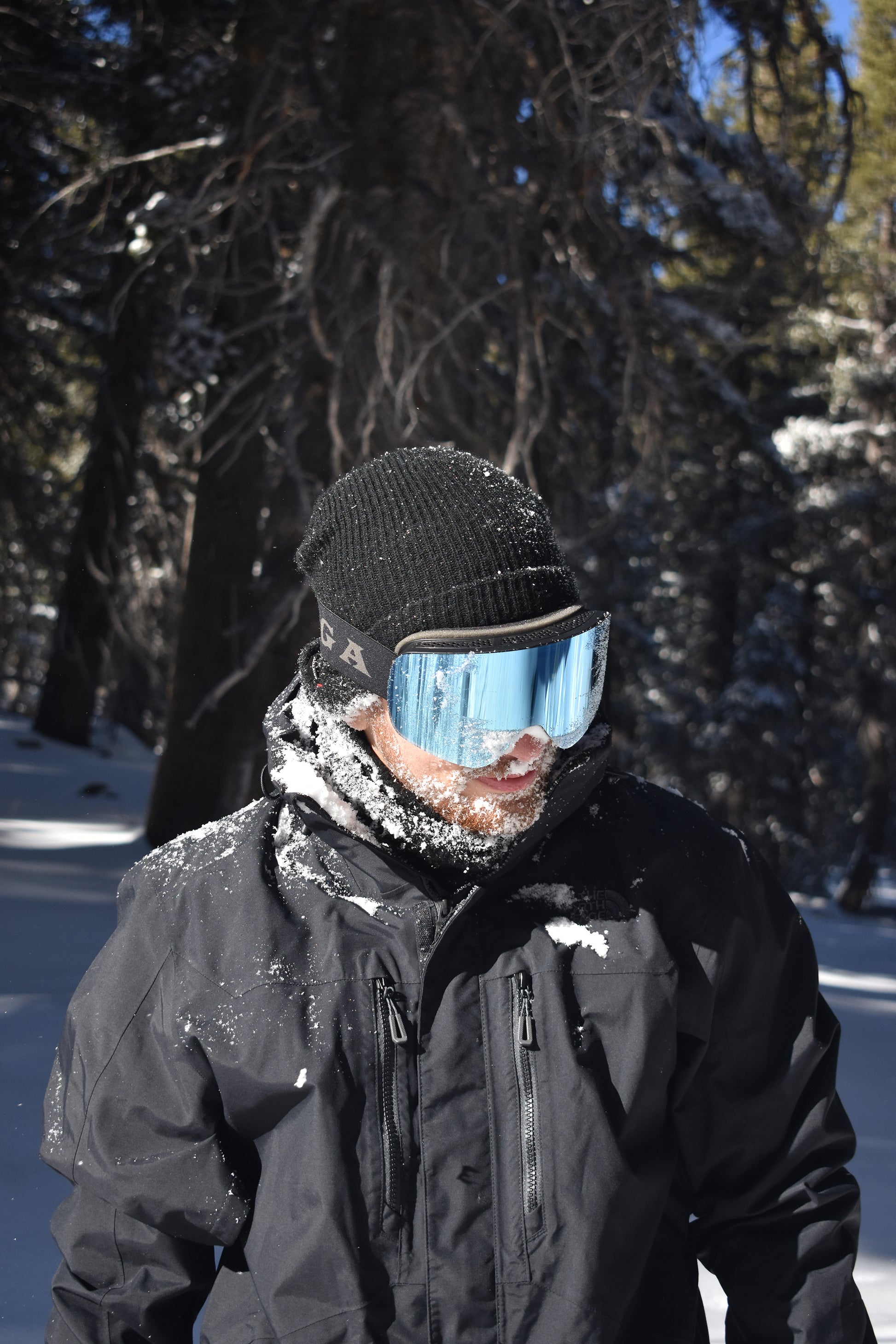 winter goggles COLD SEEKER GOGGLES + LOWLIGHT LENS Black